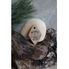 Médaille FORESTA Mars